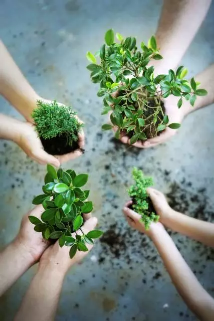 csr activity
